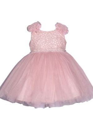 Bonnie Baby Baby Girls Sleeveless Embroidered Bodice Dress with Mesh Skirt