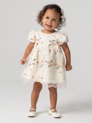 Rare Editions Baby Girls Embroidered Mesh Social Dress