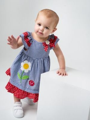 Rare Editions Baby Girls Lady Bug Seersucker Dress